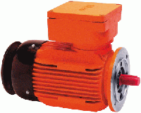 Explosion-proof motor